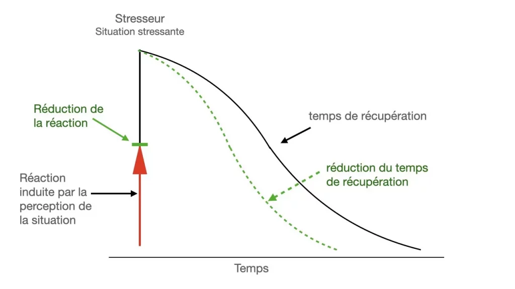 stress émotionnel