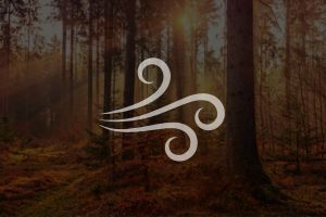 image de couverture nature avec pictogramme sophrologie