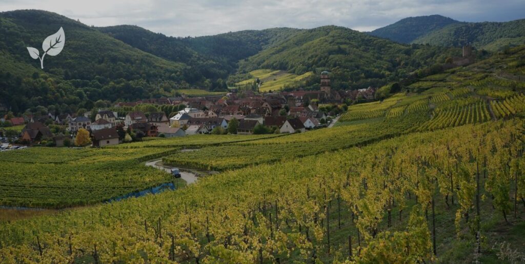 Paysages d'alsace
