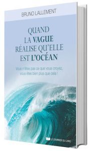 Quand la vague réalise qu'elle est l'océan - Vous n'êtes pas ce que vous croyez, vous êtes bien plus