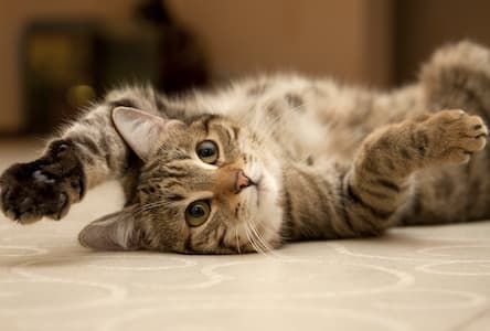 apprendre la relaxation
