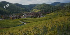 Paysages d'alsace