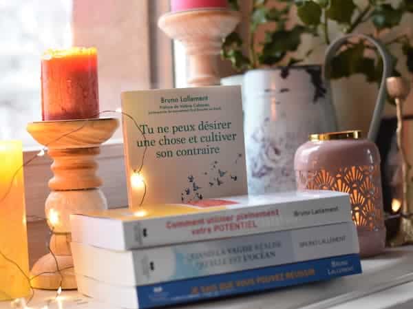 Livres de Bruno Lallement