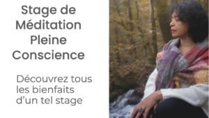 stage de méditation pleine conscience