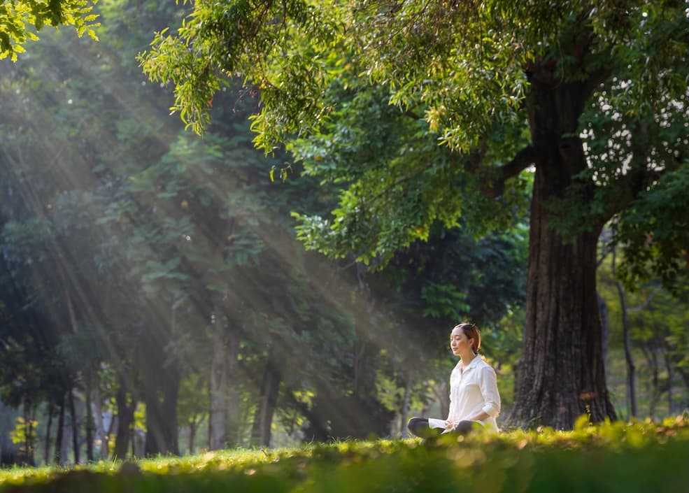stage de méditation pleine conscience
