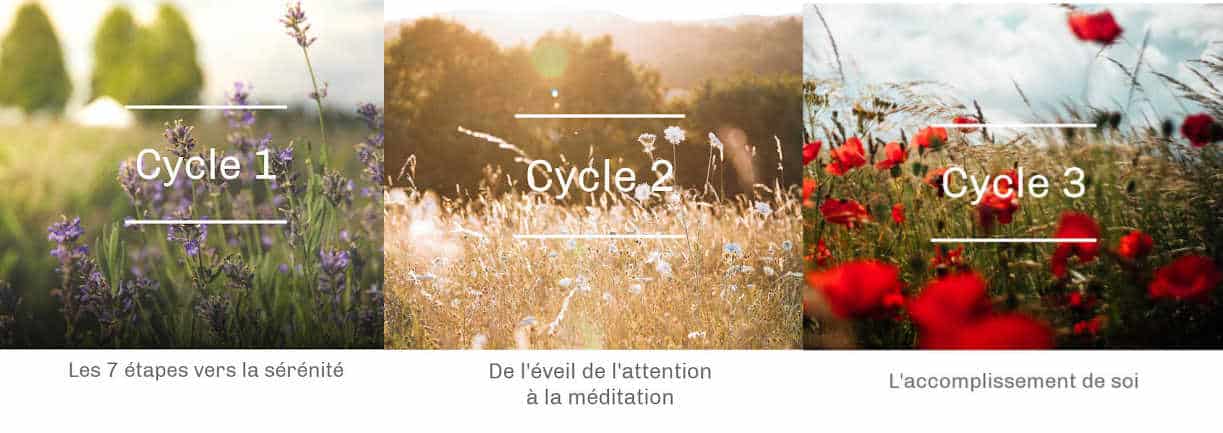 site Bruno Lallement