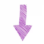 site Bruno Lallement