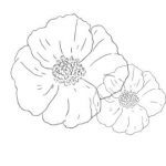 site Bruno Lallement