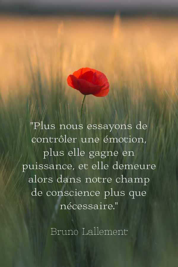 citation Bruno Lallement