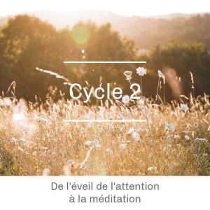 Niveau 2