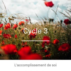 Niveau 3