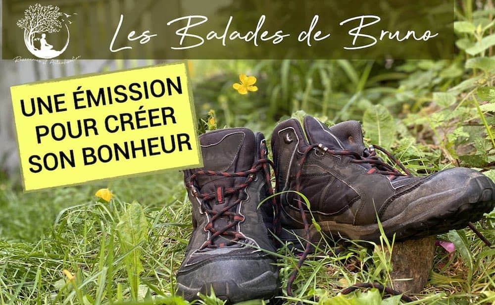 Bruno Lallement