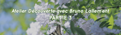 Bruno Lallement