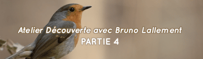 Bruno Lallement