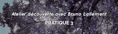 Bruno Lallement