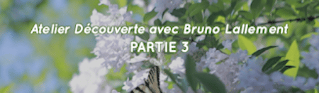Bruno Lallement