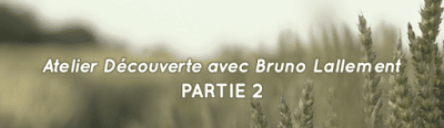 Bruno Lallement